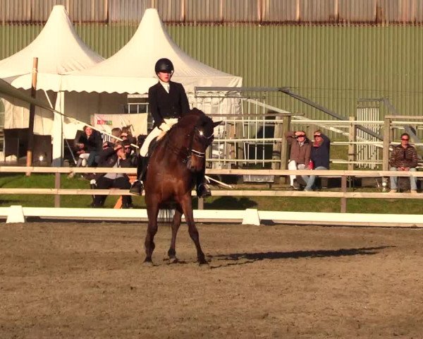 Reitturnier Kleinsolt 2023
