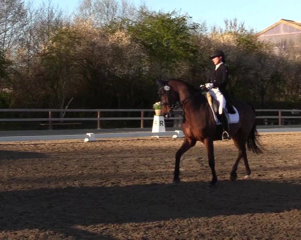 Reitturnier Kleinsolt 2023