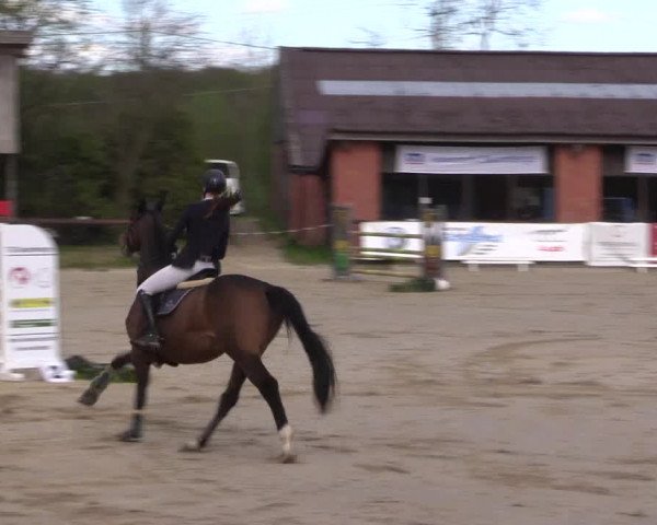 Reitturnier Havixbeck 2023