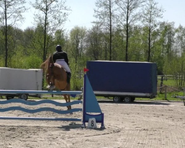 Reitturnier Handorf 2023