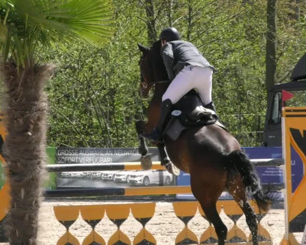 Reitturnier Handorf 2023