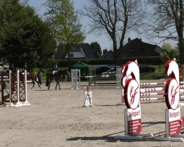 Reitturnier Handorf 2023