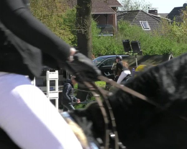 Reitturnier Handorf 2023