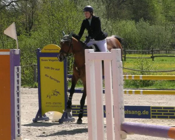 Reitturnier Handorf 2023
