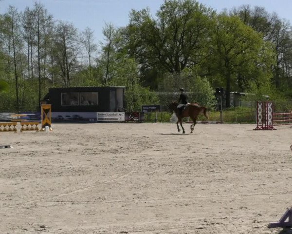 Reitturnier Handorf 2023