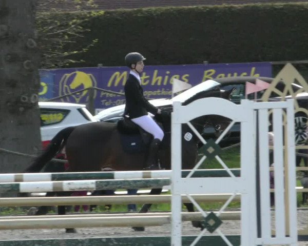 Reitturnier Handorf 2023