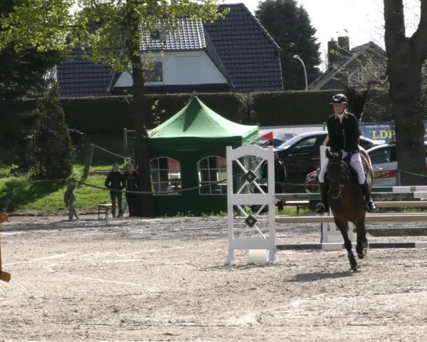 Reitturnier Handorf 2023