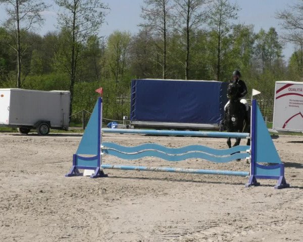 Reitturnier Handorf 2023