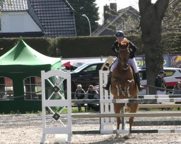 Reitturnier Handorf 2023