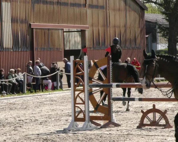 Reitturnier Handorf 2023