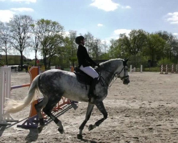 Reitturnier Handorf 2023