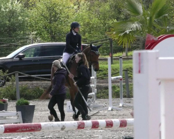 Reitturnier Handorf 2023