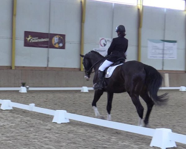 Reitturnier Gross Enzersdorf - Thavonhof 2023