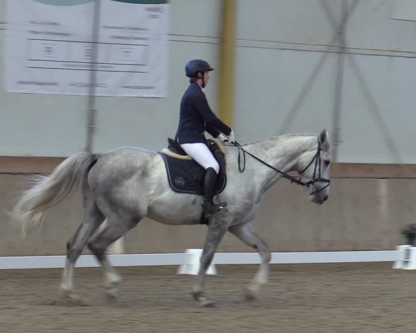Reitturnier Gross Enzersdorf - Thavonhof 2023