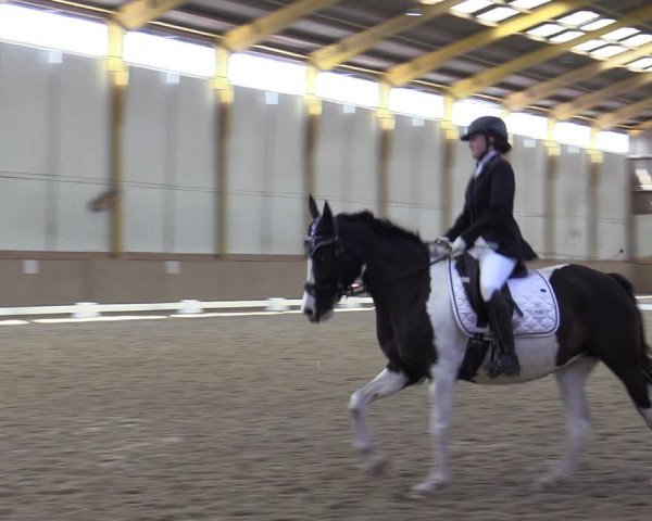 Reitturnier Gross Enzersdorf - Thavonhof 2023