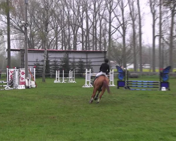 Reitturnier Derenburg 2023