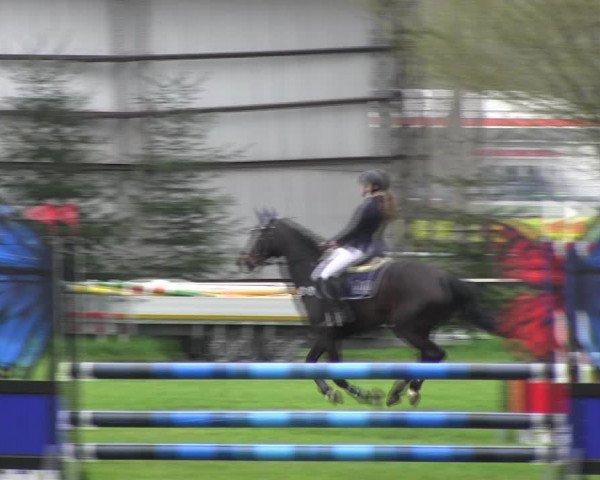 Reitturnier Derenburg 2023