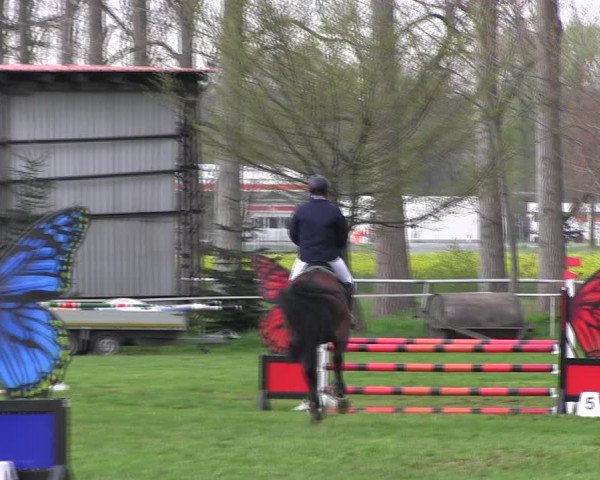 Reitturnier Derenburg 2023