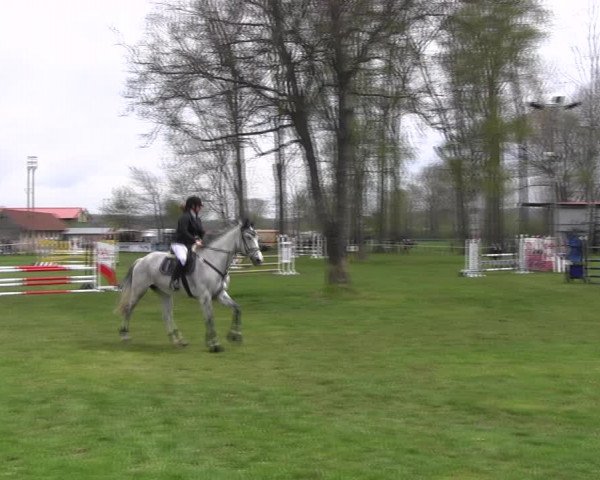 Reitturnier Derenburg 2023