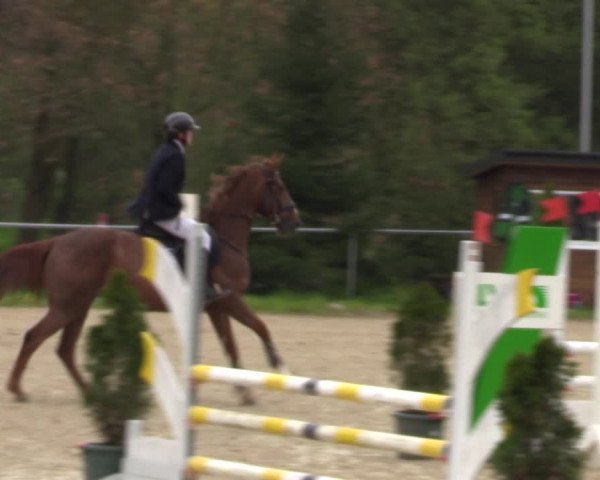 Reitturnier Bad Liebenstein/Sorga 2023