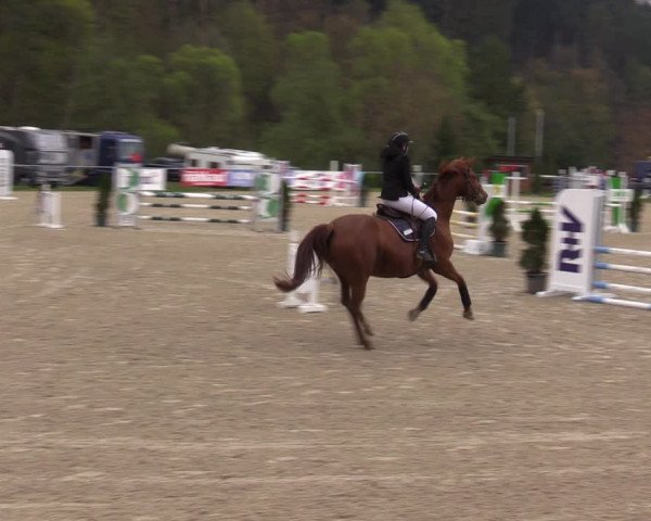 Reitturnier Bad Liebenstein/Sorga 2023