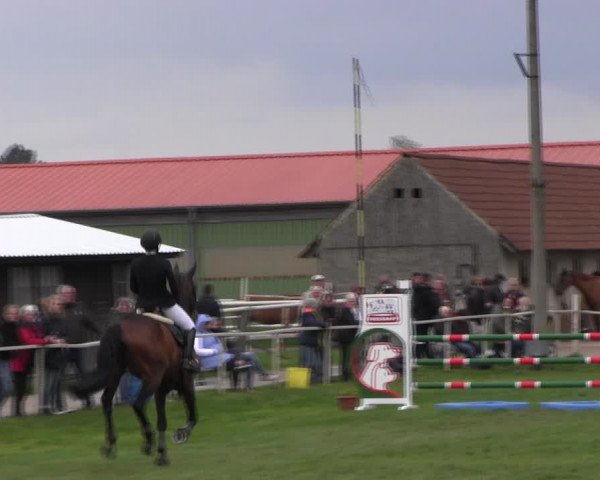 Reitturnier Derenburg 2023