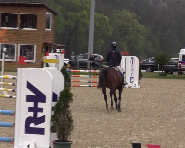 Reitturnier Bad Liebenstein/Sorga 2023