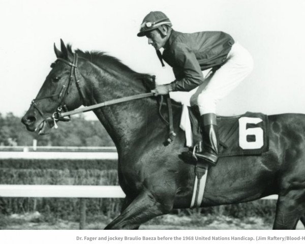 stallion Dr. Fager xx (Thoroughbred, 1964, from Rough'n Tumble xx)