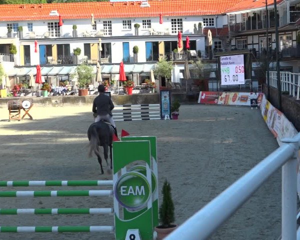 Erntedank Springturnier Nörten-Hardenberg 2021