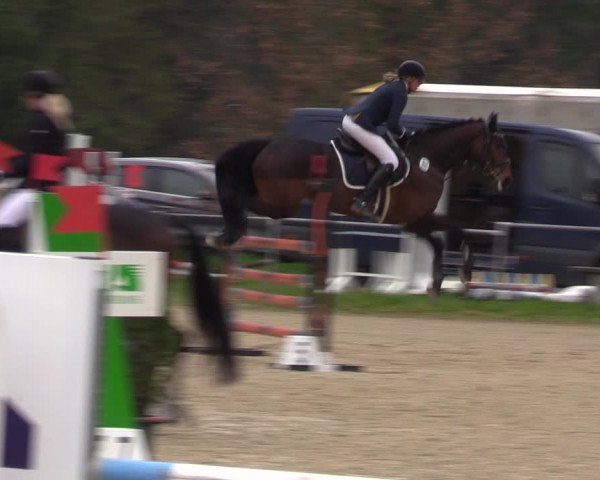 Reitturnier Bad Liebenstein/Sorga 2023