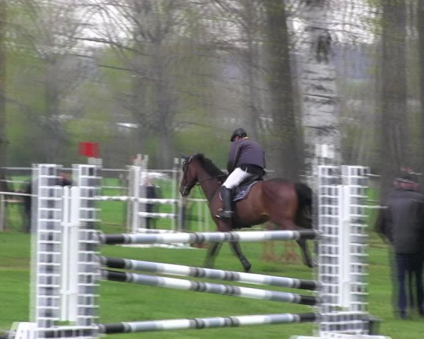 Reitturnier Derenburg 2023