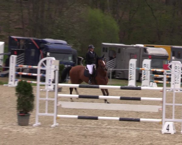 Reitturnier Bad Liebenstein/Sorga 2023