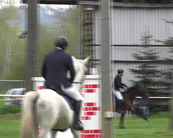 Reitturnier Derenburg 2023