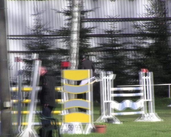 Reitturnier Derenburg 2023