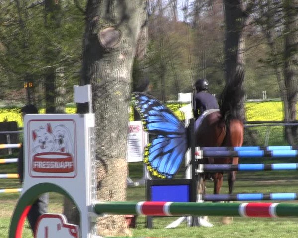 Ride turnering Derenburg 2023
