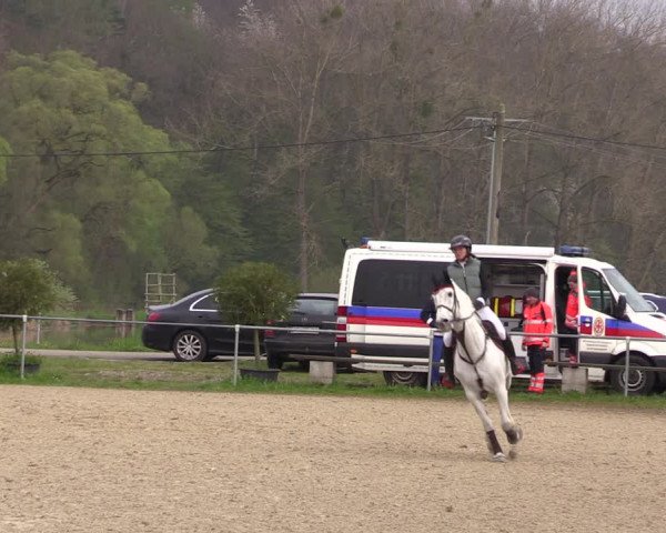Reitturnier Bad Liebenstein/Sorga 2023