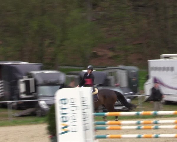 Reitturnier Bad Liebenstein/Sorga 2023