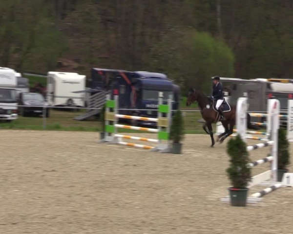 Reitturnier Bad Liebenstein/Sorga 2023
