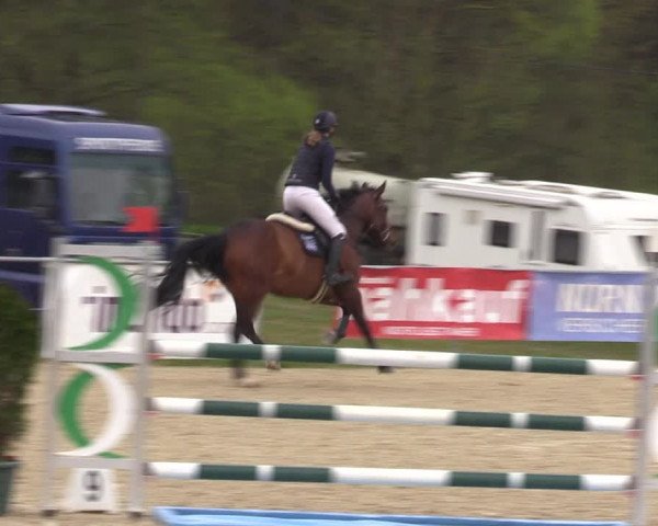 Reitturnier Bad Liebenstein/Sorga 2023