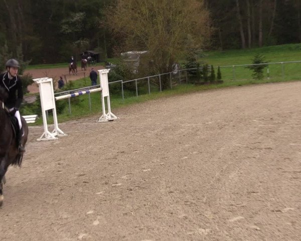 Reitturnier Bad Liebenstein/Sorga 2023