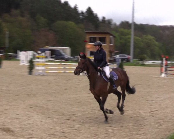 Reitturnier Bad Liebenstein/Sorga 2023
