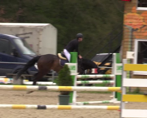 Reitturnier Bad Liebenstein/Sorga 2023