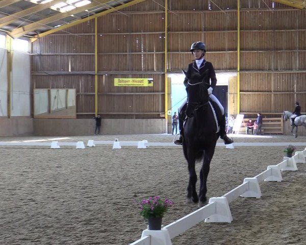 Reitturnier Gross Enzersdorf - Thavonhof 2023