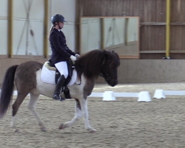 Reitturnier Gross Enzersdorf - Thavonhof 2023