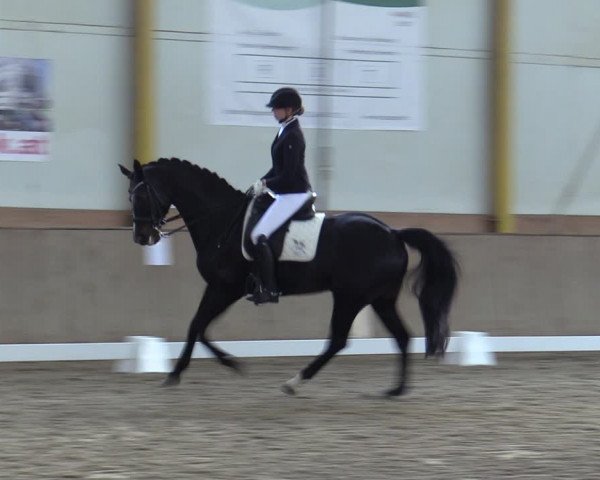 Reitturnier Gross Enzersdorf - Thavonhof 2023