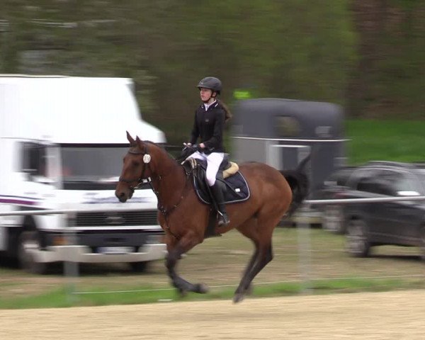 Reitturnier Bad Liebenstein/Sorga 2023