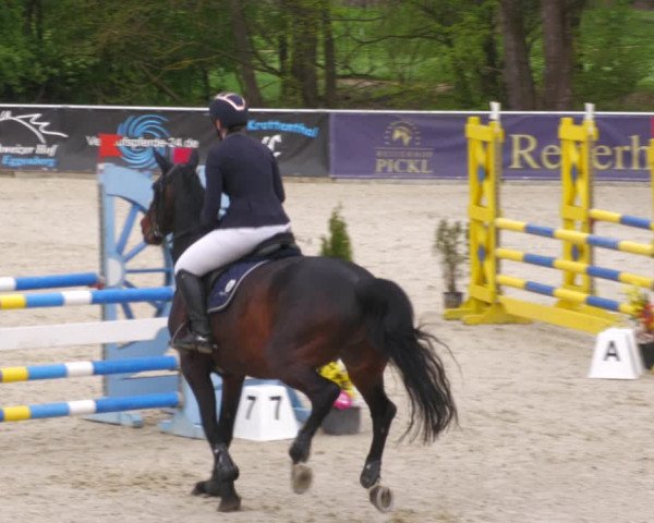 Reitturnier Karlsfeld 2023