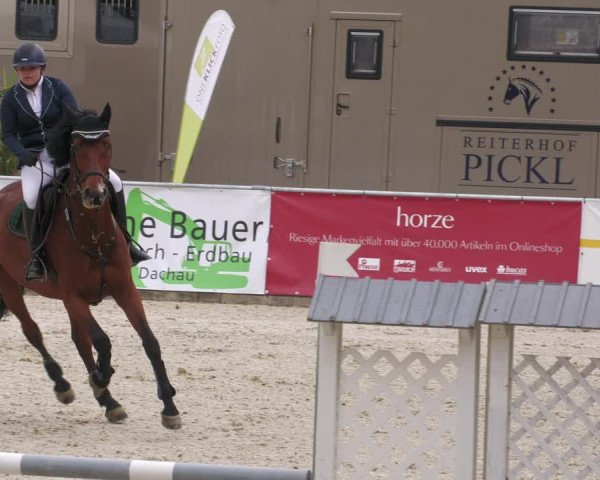 Reitturnier Karlsfeld 2023