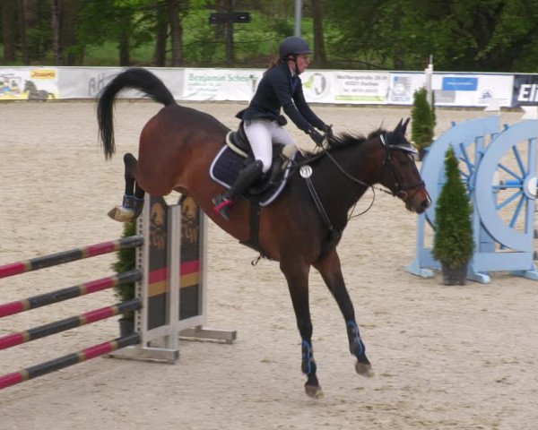 Reitturnier Karlsfeld 2023