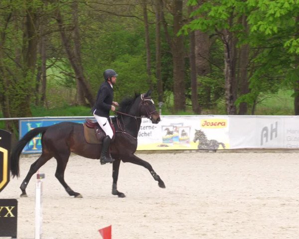 Reitturnier Karlsfeld 2023